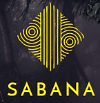 Screenshot 2024-04-11 at 13.41.31.png